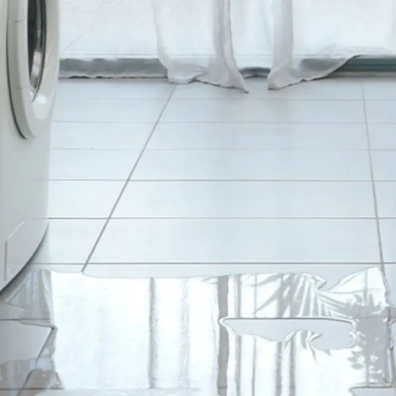 Appliance Leak Cleanup in Bennsville, MD